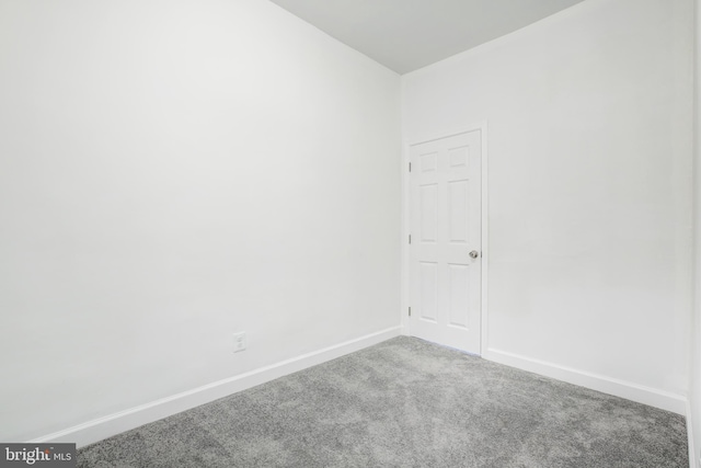 empty room featuring carpet floors