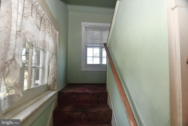 stairs with hardwood / wood-style flooring