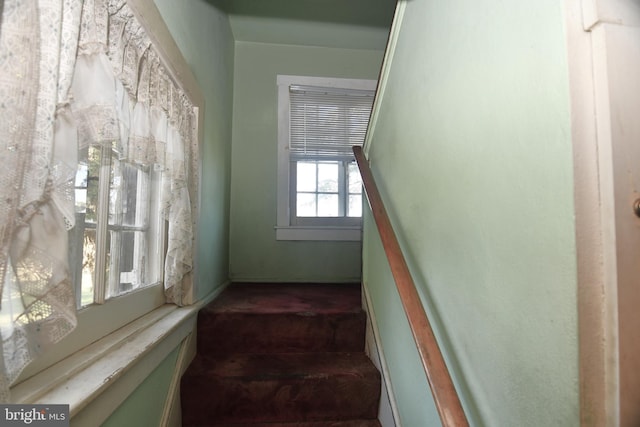2761 York Rd, Jamison, PA 18929 - stairs featuring carpet