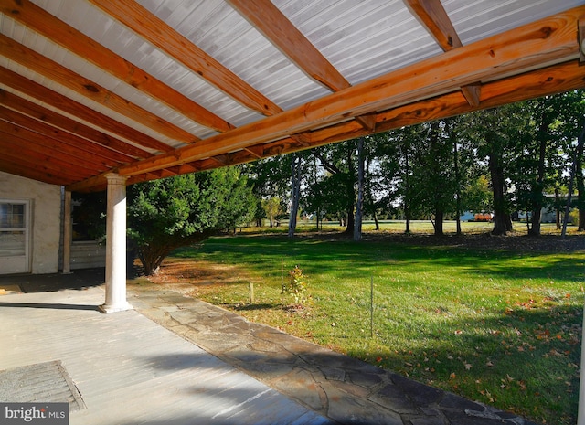 view of yard featuring a patio area