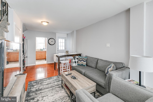 living room featuring light wood-type flooring