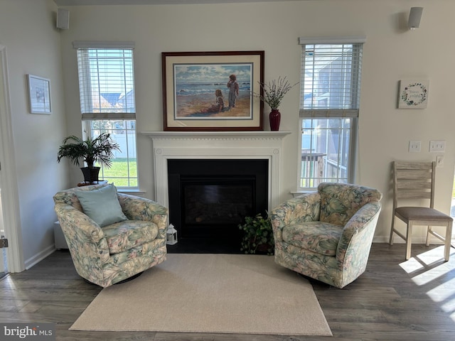 living area with dark hardwood / wood-style floors