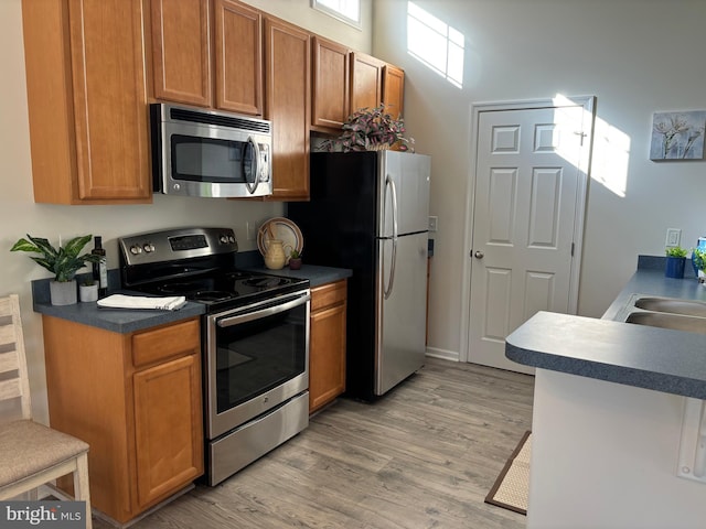 kitchen with sink, light hardwood / wood-style floors, and appliances with stainless steel finishes