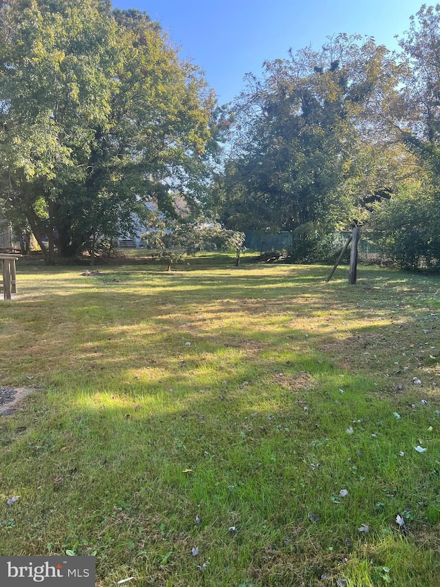 711 6th St, Pocomoke City, MD 21851 - view of green lawn