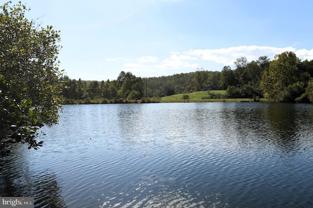 71 Fox Creek Ln, Woodville, VA 22749 - water view with a forest view