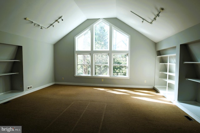 additional living space with carpet floors and vaulted ceiling