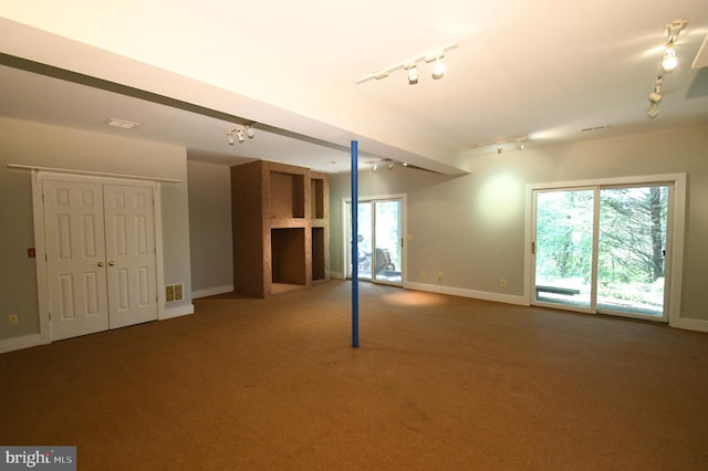 basement with plenty of natural light, carpet, and rail lighting