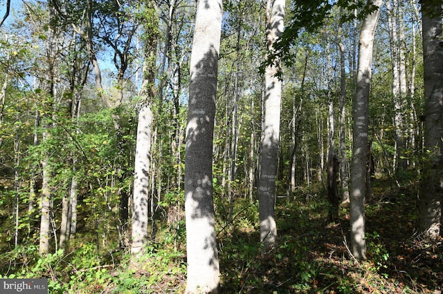 71 Fox Creek Ln, Woodville, VA 22749 - view of landscape featuring a forest view