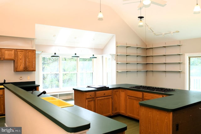 71 Fox Creek Ln, Woodville, VA 22749 - kitchen with a peninsula, stainless steel gas stovetop, open shelves, vaulted ceiling, and dark countertops