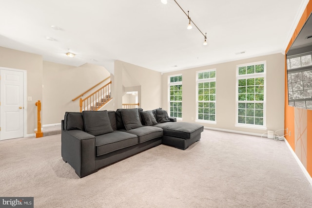 carpeted living room with crown molding and rail lighting