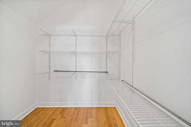 walk in closet featuring hardwood / wood-style flooring