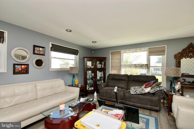 living room featuring light hardwood / wood-style floors and a healthy amount of sunlight