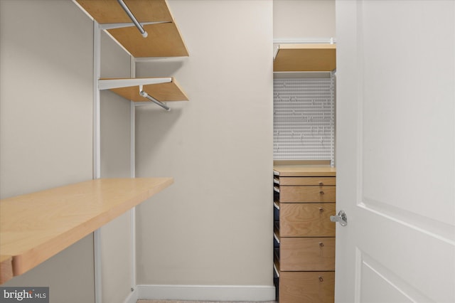 view of walk in closet