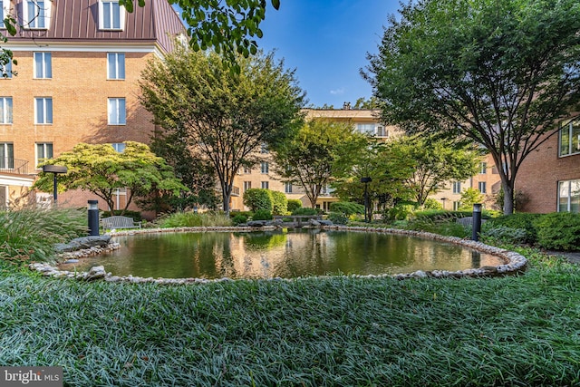 view of community with a water view and a lawn