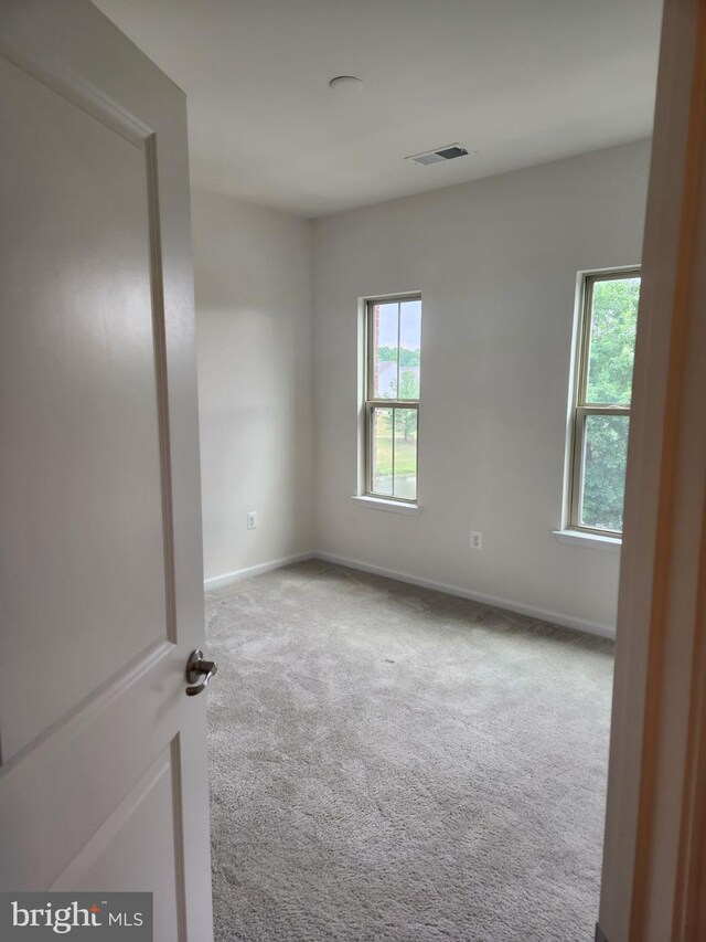 empty room featuring plenty of natural light and carpet flooring