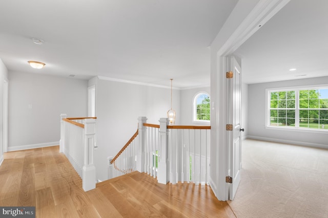 hall with ornamental molding, an inviting chandelier, and light hardwood / wood-style floors