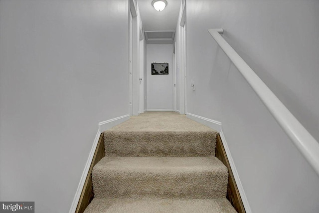 stairway with carpet