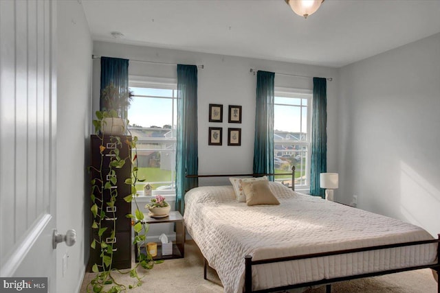 bedroom featuring multiple windows and carpet floors