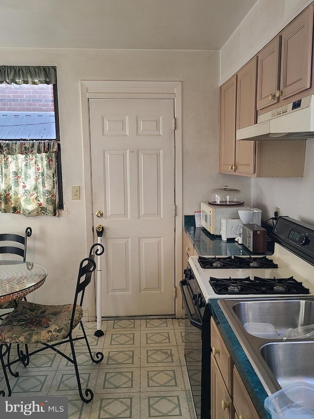 kitchen with stainless steel gas range oven