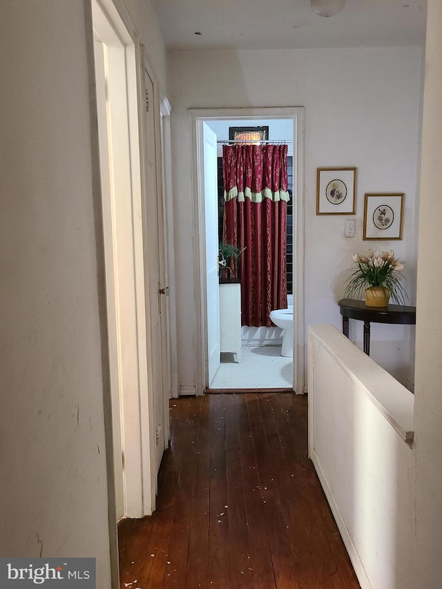 hallway with dark wood-type flooring