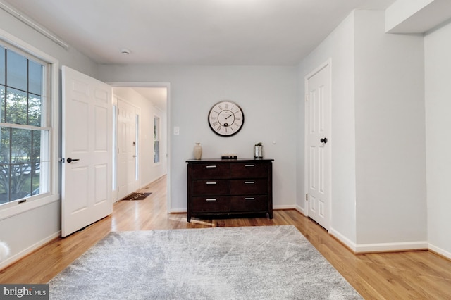 interior space featuring light hardwood / wood-style floors and a healthy amount of sunlight