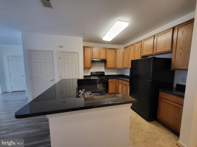 kitchen featuring light wood-type flooring, sink, and black appliances