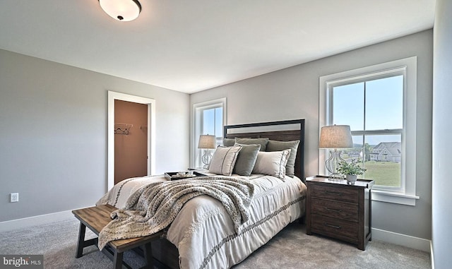 carpeted bedroom with a spacious closet and multiple windows