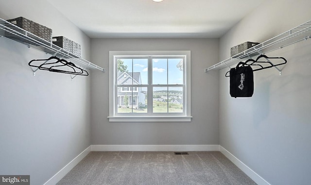 walk in closet featuring carpet floors