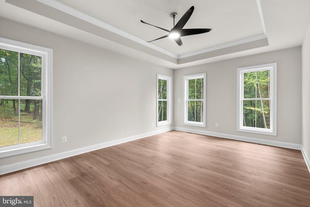 unfurnished room featuring light hardwood / wood-style floors, a tray ceiling, a wealth of natural light, and ceiling fan