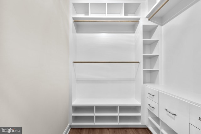 spacious closet featuring dark wood-type flooring