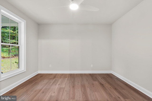 empty room featuring a wealth of natural light, hardwood / wood-style floors, and ceiling fan