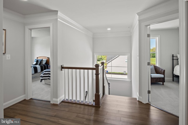 hallway with dark hardwood / wood-style flooring, ornamental molding, and a wealth of natural light