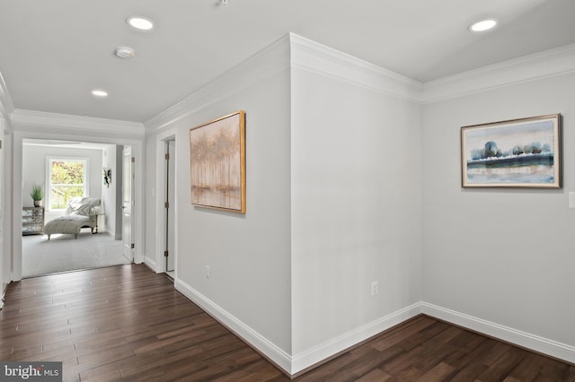 hallway with dark hardwood / wood-style floors and crown molding