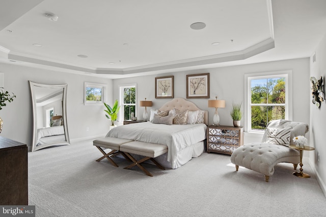 carpeted bedroom with a tray ceiling, multiple windows, and crown molding