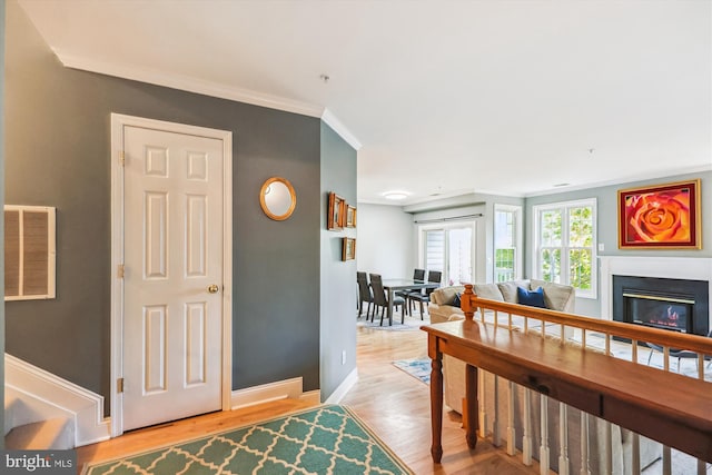 interior space with ornamental molding and hardwood / wood-style flooring