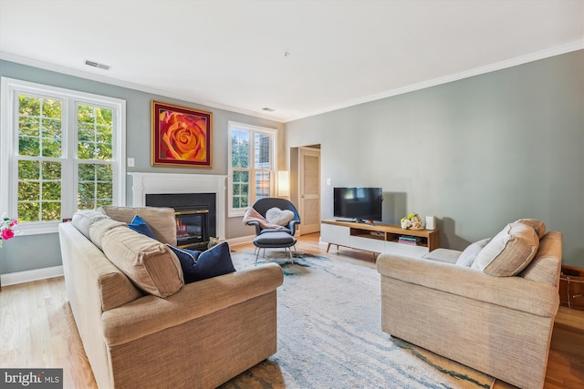 living room featuring crown molding and light wood-type flooring