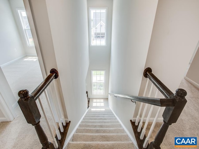 staircase with carpet