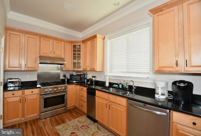 kitchen featuring under cabinet range hood, stainless steel appliances, dark countertops, and a sink