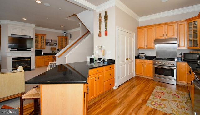 kitchen featuring light wood-type flooring, a fireplace with flush hearth, high end stove, under cabinet range hood, and black microwave