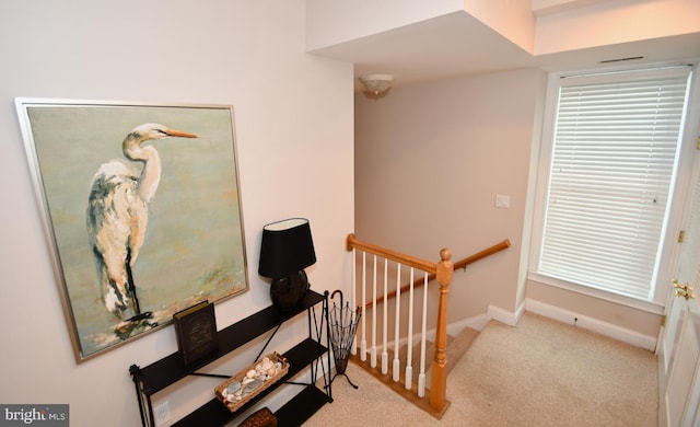 stairway featuring baseboards and carpet floors