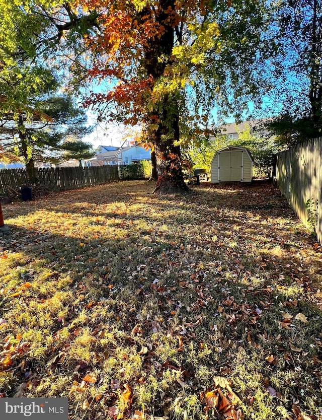 view of yard featuring a storage unit