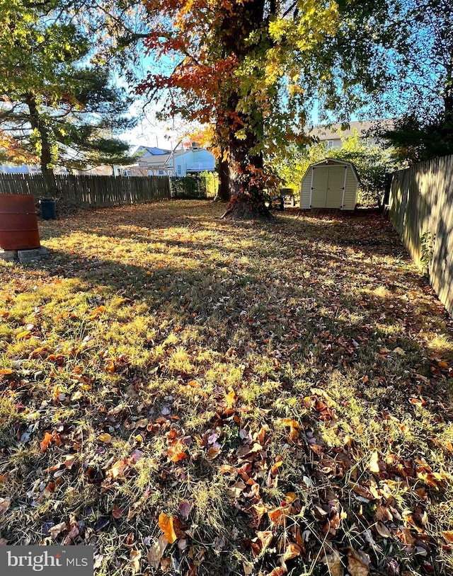 view of yard with a shed