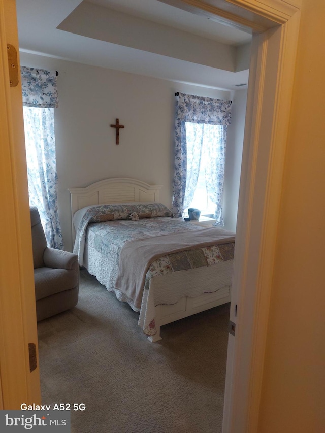 bedroom featuring carpet flooring