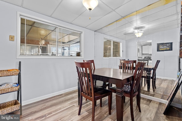 dining area featuring wood-type flooring and a paneled ceiling