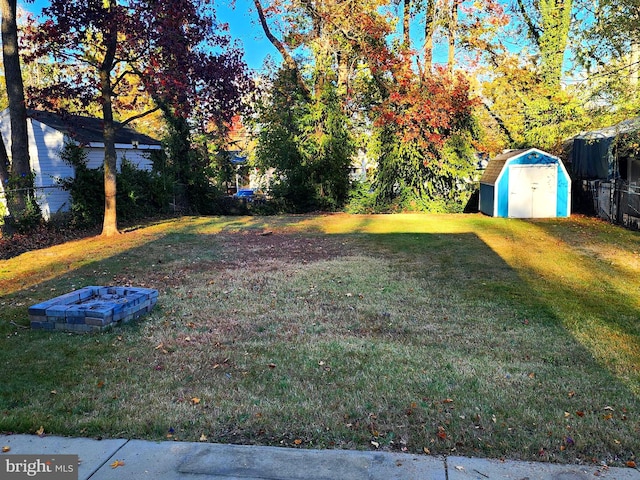 view of yard featuring a shed