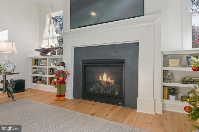 interior details featuring hardwood / wood-style floors