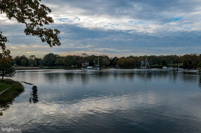 property view of water