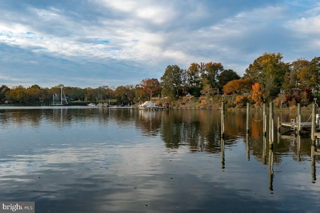 property view of water with a boat dock