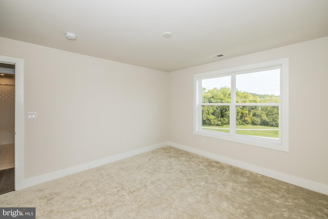 spare room featuring carpet floors