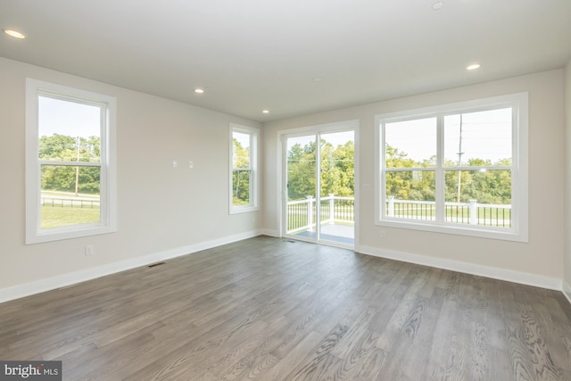 empty room featuring wood-type flooring and a wealth of natural light